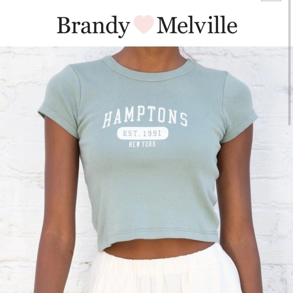 NWOT Brandy Melville Hamptons Crop Top